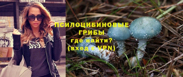 соль курить ск Горно-Алтайск