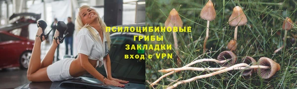 соль ск Горняк
