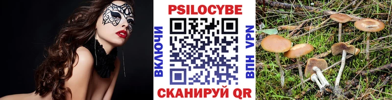 Галлюциногенные грибы Psilocybe  как найти наркотики  Дивногорск 